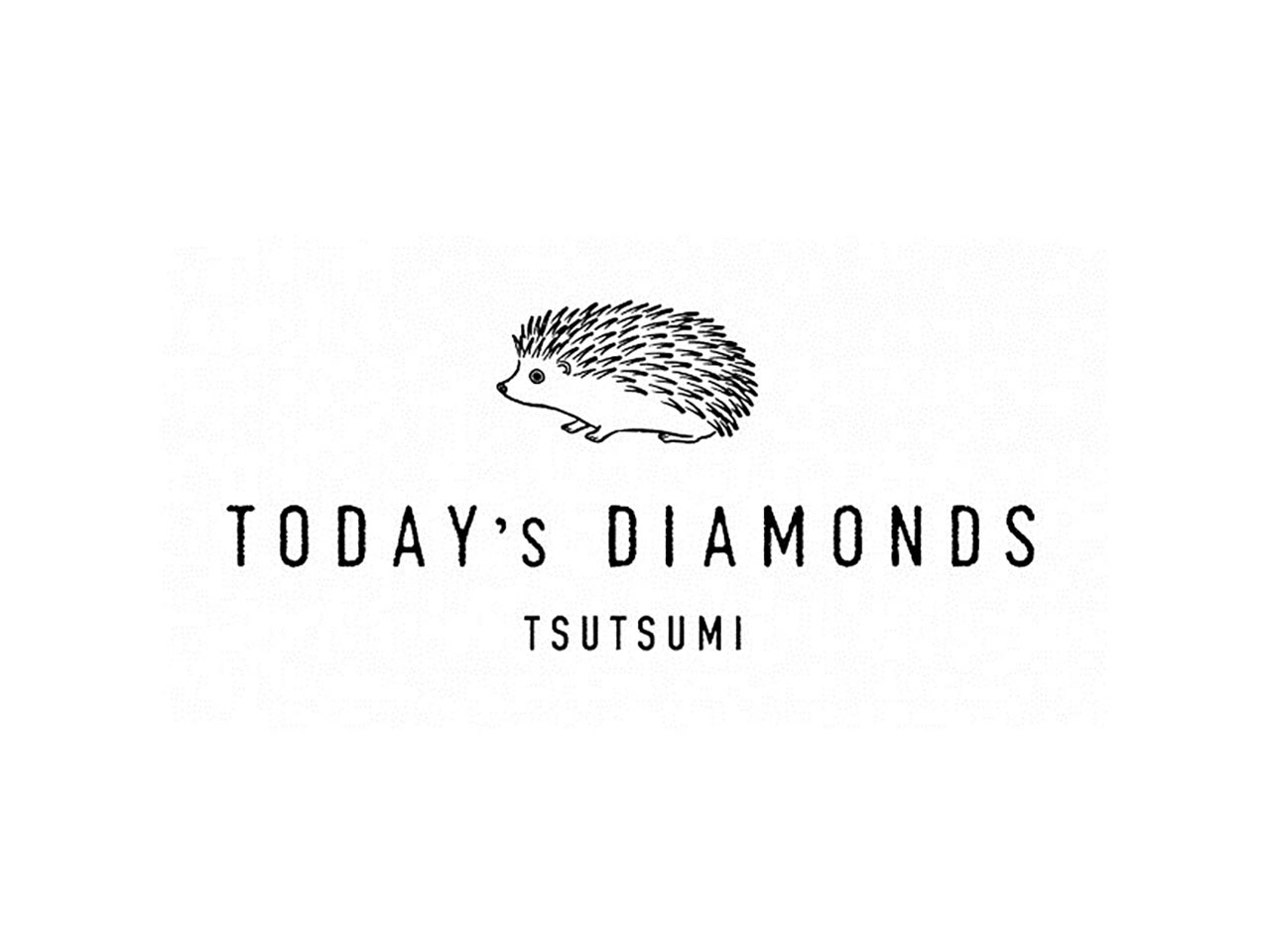 TODAY’s DIAMONDS TSUTSUMI - みなとみらい東急スクエア
