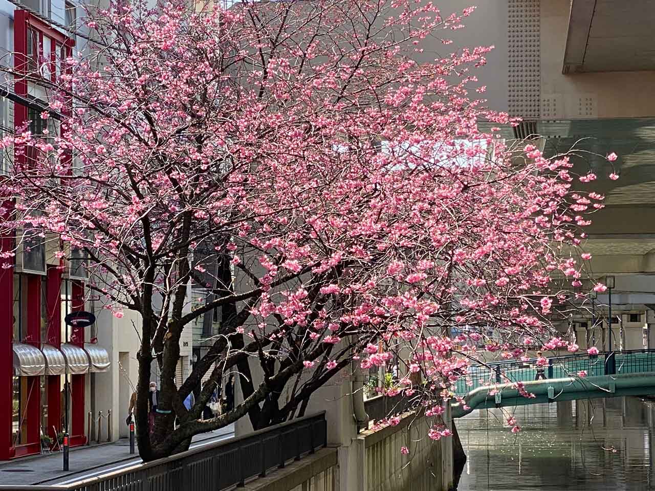 横浜元町河岸通り会