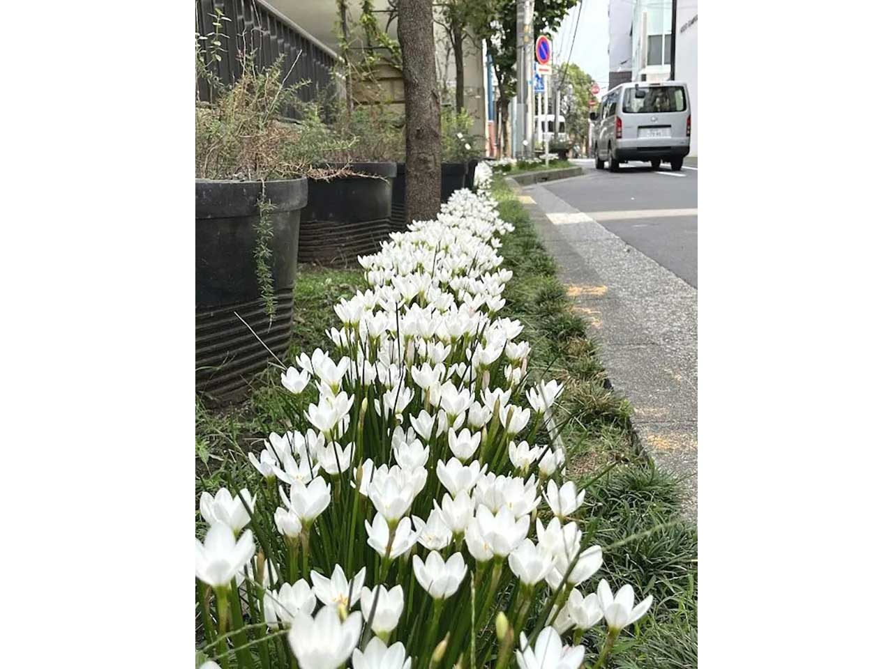 横浜元町河岸通り会
