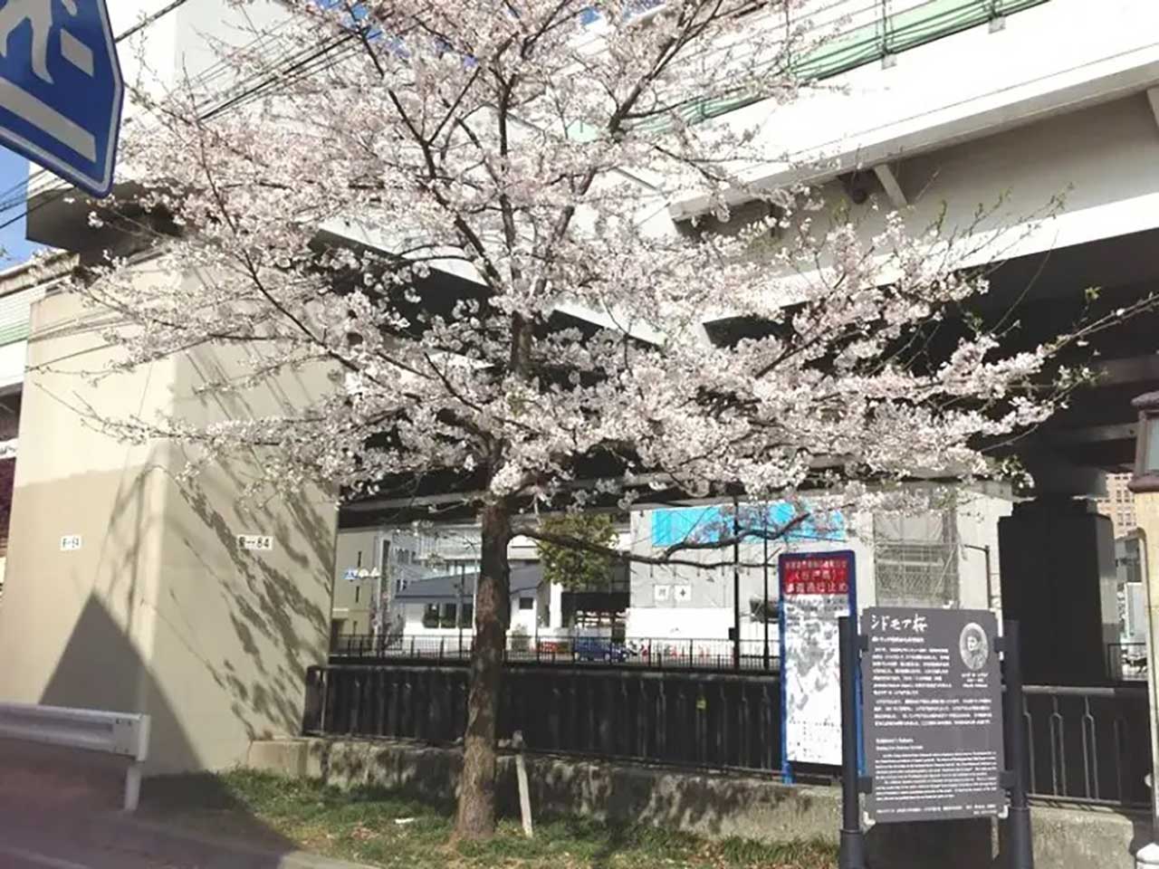 横浜元町河岸通り会