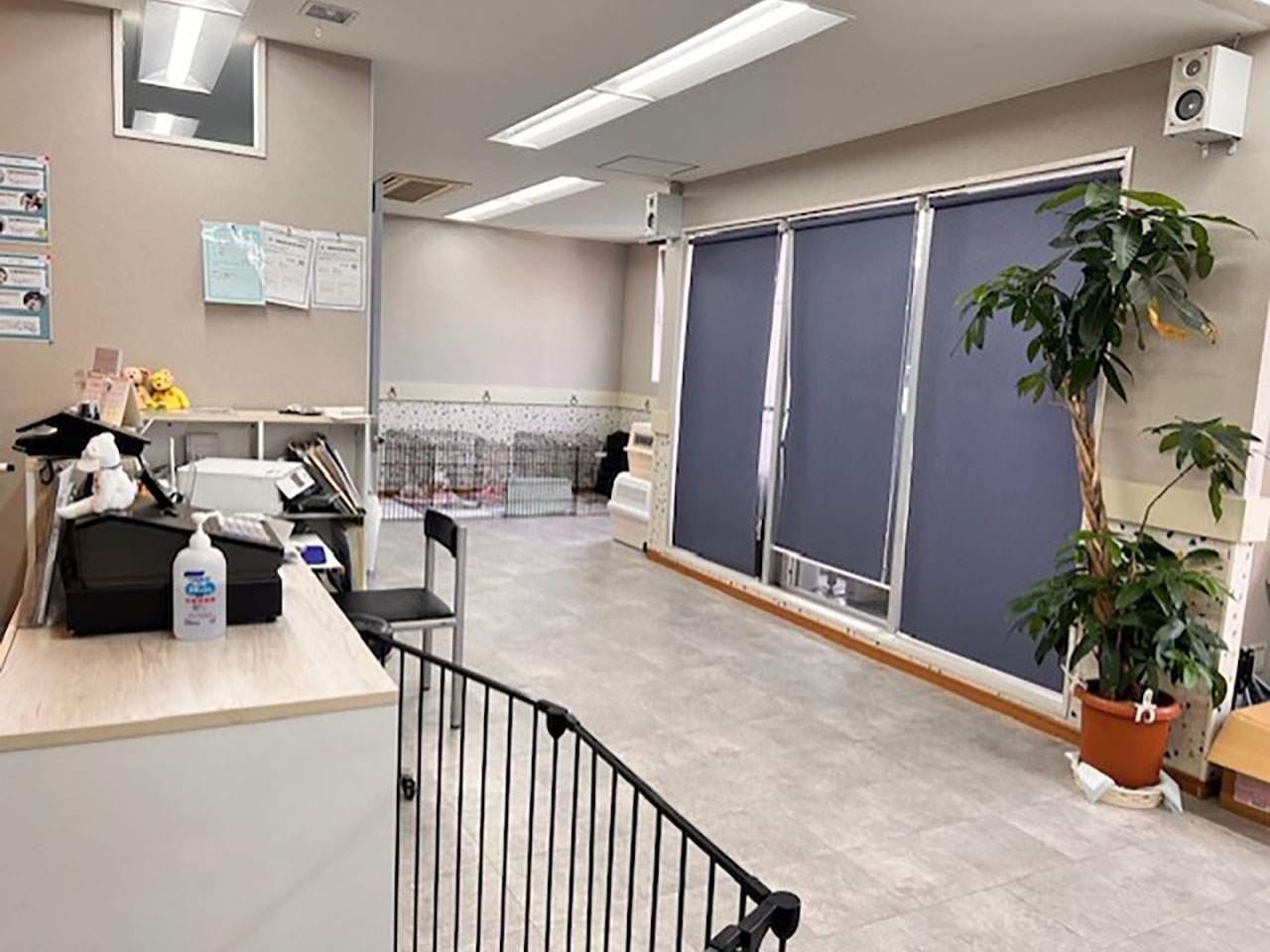 Dog Care House Motomachi(ドッグケアハウス元町)